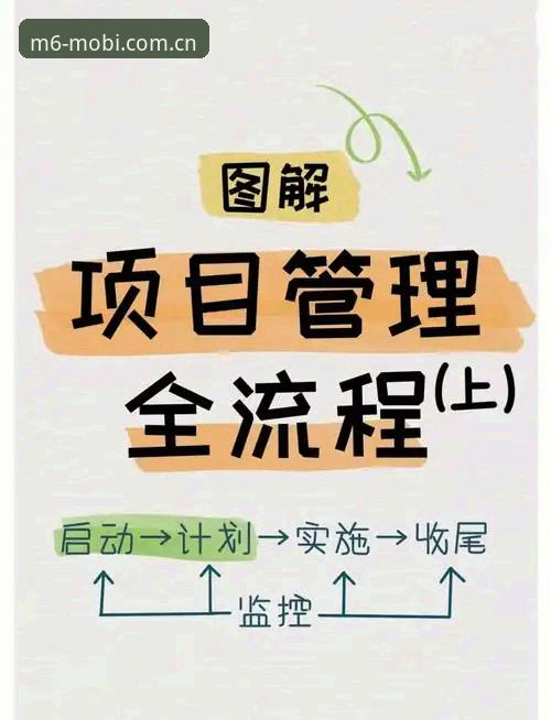 M6最新版下载详解：从官网获取到安装的全流程指南